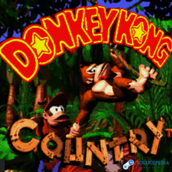 Donkey Kong Country